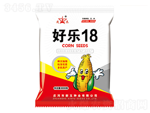 好樂18-玉米種子-新玉種業(yè)