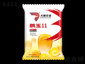 鵬玉11-玉米種子-大鵬農(nóng)業(yè)