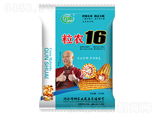 粒農(nóng)16玉米種子-群帥農(nóng)業(yè)