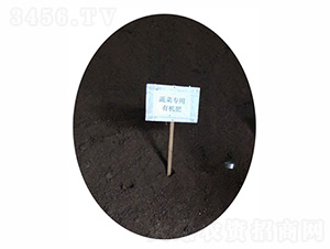 蔬菜專用有機肥-農(nóng)神肥業(yè)