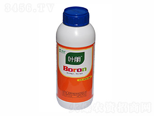 有機硼肥-葉朋-茂施農(nóng)業(yè)