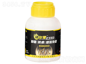 活爾蒙·碘莎莎（海帶天然有機碘）-世代海洋