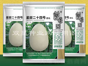 星甜二十四號-甜瓜種子-雙星種業(yè)