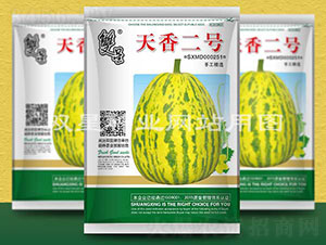 天香二號-甜瓜種子-雙星種業(yè)