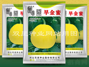 早金蜜-甜瓜種子-雙星種業(yè)