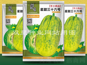 星甜三十六號-甜瓜種子-雙星種業(yè)