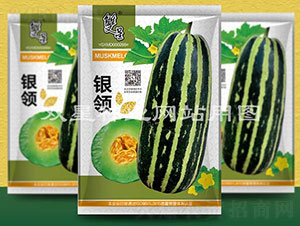 銀領-甜瓜種子-雙星種業(yè)
