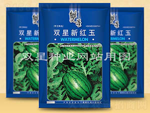 雙星新紅玉-西瓜種子-雙星種業(yè)