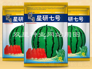 星研七號(hào)-西瓜種子-雙星種業(yè)