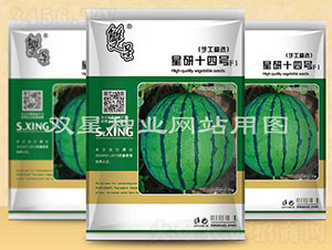 星研十四號-西瓜種子-雙星種業(yè)