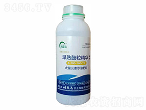 早熟鼓粒精華0-280-360+TE-鴻盛達(dá)