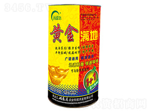 黃金滿(mǎn)地-鴻盛達(dá)