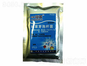 枯草芽孢桿菌-中保冠藍-啟高生物