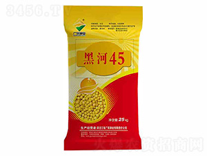 大豆種子-黑河45-廣民種業(yè)