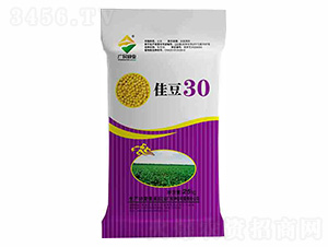 大豆種子-佳豆30-廣民種業(yè)