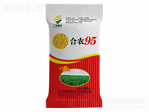 大豆種子-合農(nóng)95-廣民種業(yè)