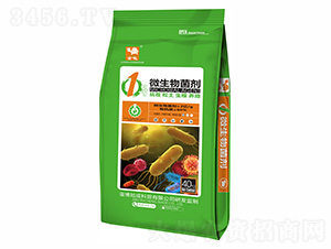 1號(hào)微生物菌劑-金龜-深藍(lán)生物
