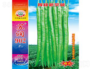 蘇潤(rùn)902-辣椒種子-蘇潤(rùn)種業(yè)