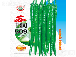 è˜‡æ½¤509-è¾£æ¤’ç¨®å­-è˜‡æ½¤ç¨®æ¥­(yÃ¨)