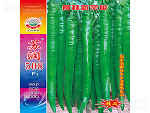 蘇潤508-辣椒種子-蘇潤種業(yè)