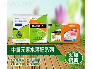 ä¸­é‡å…ƒç´ æ°´æº¶è‚¥ç³»åˆ—-è±æ°‘åŒå’Œ