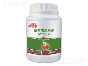 草莓悶棚專用微量元素水溶肥料-莓莓樂(lè)-沃益多