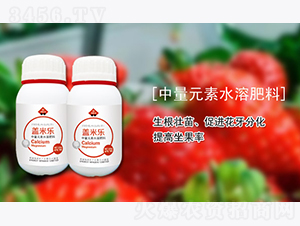 中量元素水溶肥料-蓋米樂(lè)-淳萃能源
