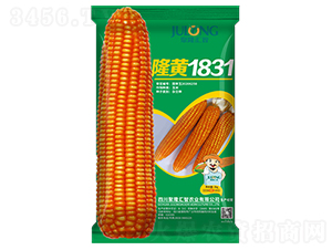 隆黃1831-玉米種子-聚隆匯智