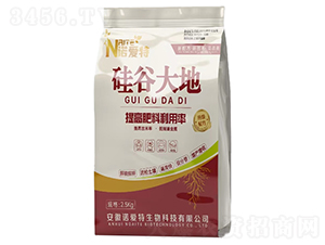 硅谷大地-諾愛(ài)特
