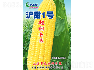滬甜1號玉米種子-農(nóng)科種子