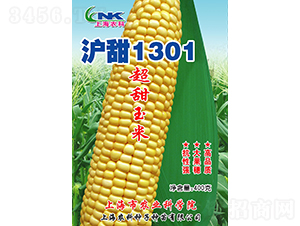 滬甜1301玉米種子-農(nóng)科種子