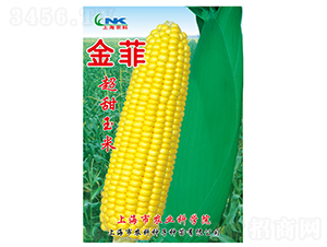 金菲玉米種子-農(nóng)科種子