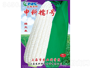 申科糯1號玉米種子-農(nóng)科種子