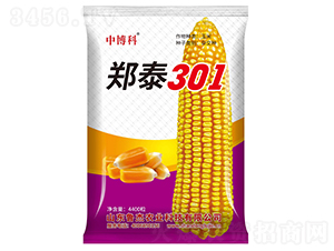 鄭泰301玉米種子-中博科-魯杰農(nóng)業(yè)