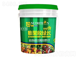 草莓專用膨果放綠長-百禾旺-梁山國豐