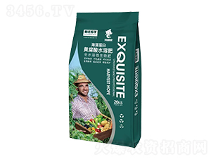 海藻蛋白黃腐酸水溶肥-海精靈-梁山國豐