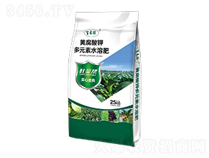 黃腐酸鉀多元素水溶肥-葉菜幫-百禾旺-梁山國(guó)豐