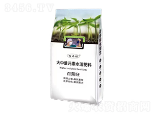 大中量元素水溶肥料-百菜旺-百禾旺-梁山國(guó)豐