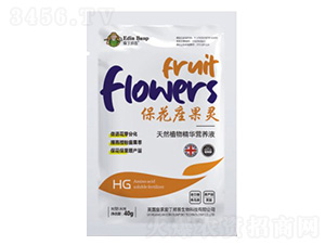 保花座果靈-愛(ài)丁邦普