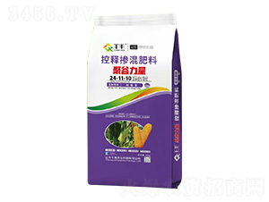 玉米專用控釋摻混肥料24-11-10-聚谷力量-千豐農業(yè)
