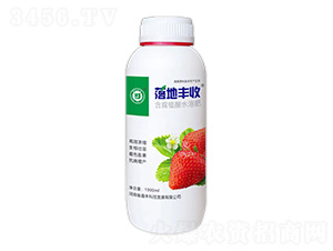 å«è…æ¤é…¸æ°´æº¶è‚¥-è½åœ°è±æ”¶-é‘«è±ç§‘æŠ€