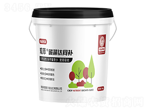 碳藻鈦同補(bǔ)-觀萃-圣伯生物