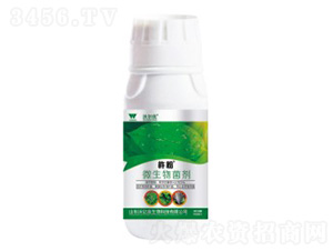 白粉虱病專用微生物菌劑-杵粉-沃爾優(yōu)