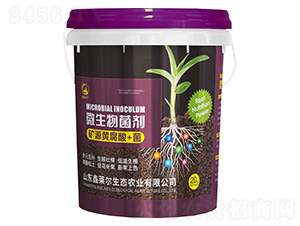 礦源黃腐酸+菌微生物菌劑-鑫萊爾