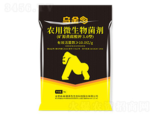 烏金農(nóng)用微生物菌劑-黑色生態(tài)
