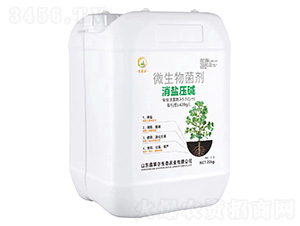 微生物菌劑-消鹽壓堿-鑫萊爾