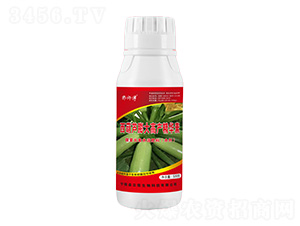 西葫蘆膨大高產(chǎn)精華素-郭師傅-立信生物