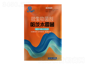 哈茨木霉菌微生物菌劑-紅萬村-鄉(xiāng)村季風-人人共享農(nóng)化