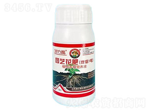 妙力熊伴侶一號（園藝液態(tài)花肥）-施爾康