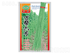萬(wàn)幫六號(hào)豇豆種子-萬(wàn)邦種業(yè)